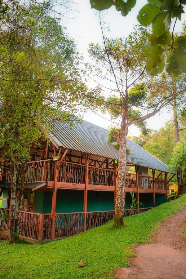 Cinnamon Village Sinharaja Deniyaya Kültér fotó