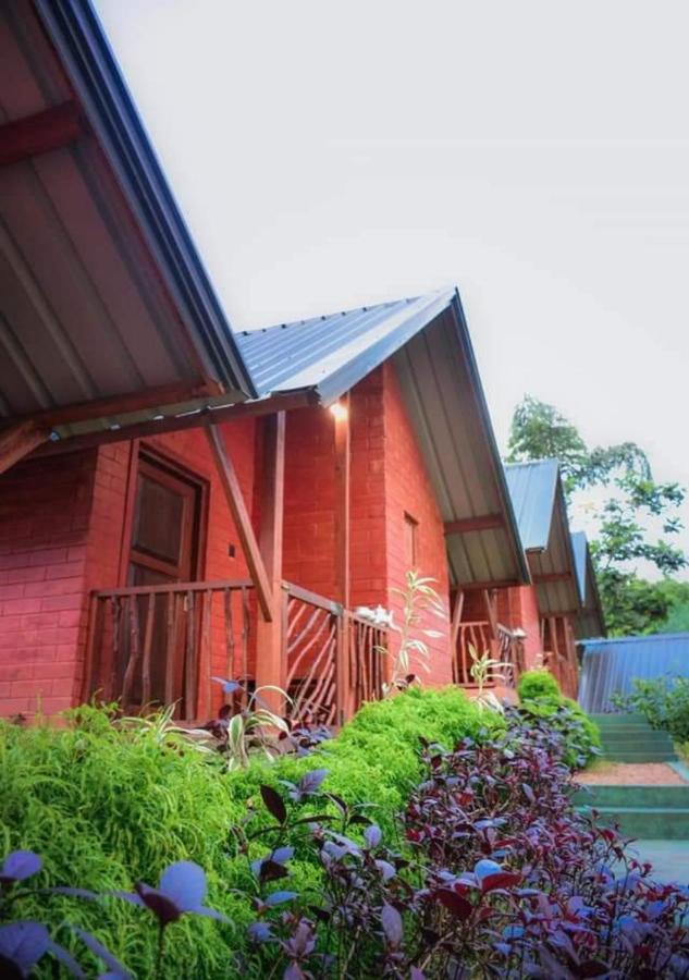 Cinnamon Village Sinharaja Deniyaya Kültér fotó