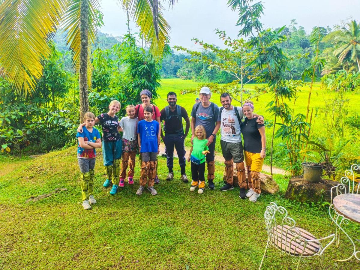Cinnamon Village Sinharaja Deniyaya Kültér fotó